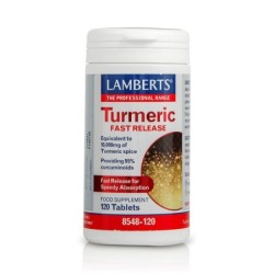 LAMBERTS Turmeric fast release 10.000mg 120tab