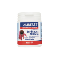 LAMBERTS Echinacea 1.000mg 60 tabs