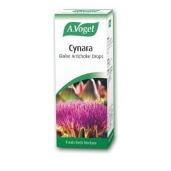 VOGEL Cynara