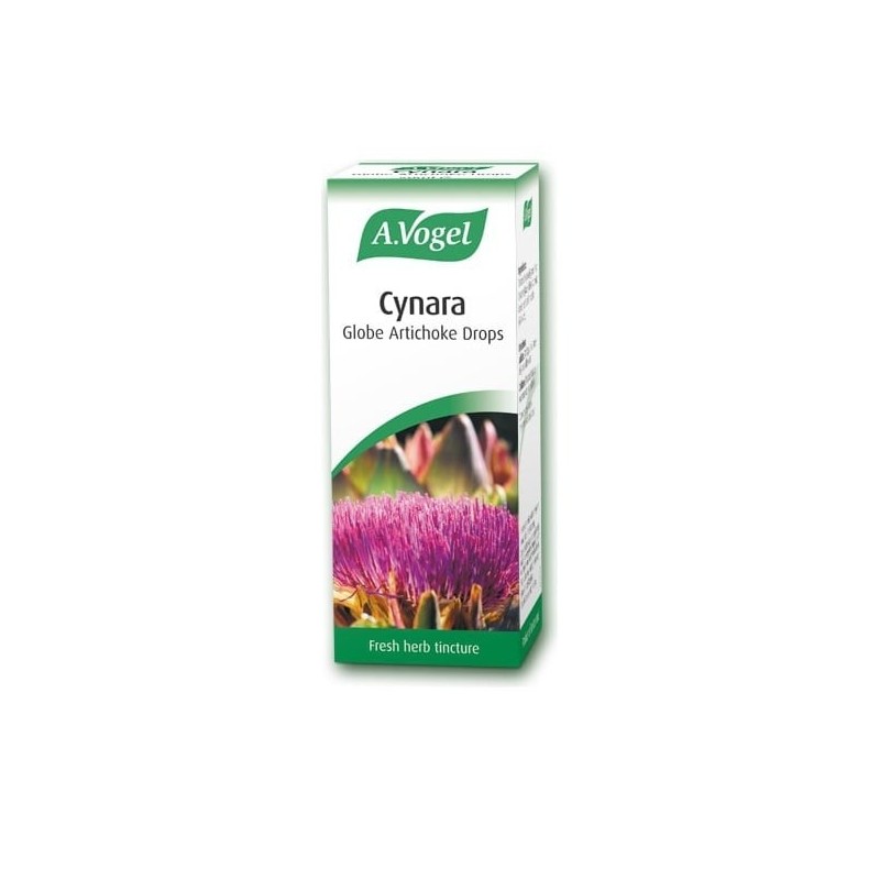 VOGEL Cynara