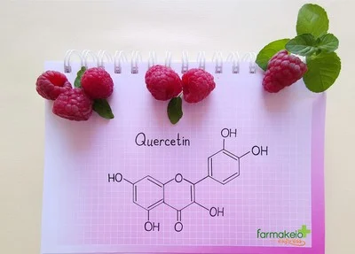 QUERCETIN ΕΝΑ ΦΥΣΙΚΟ ΑΝΤΙΣΤΑΜΙΝΙΚΟ